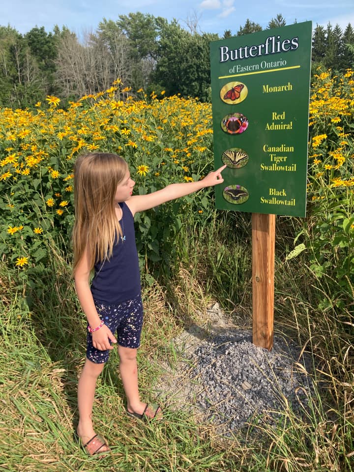 Soak Up The Sunflowers 16 — Soak Up The Sunflowers 2022