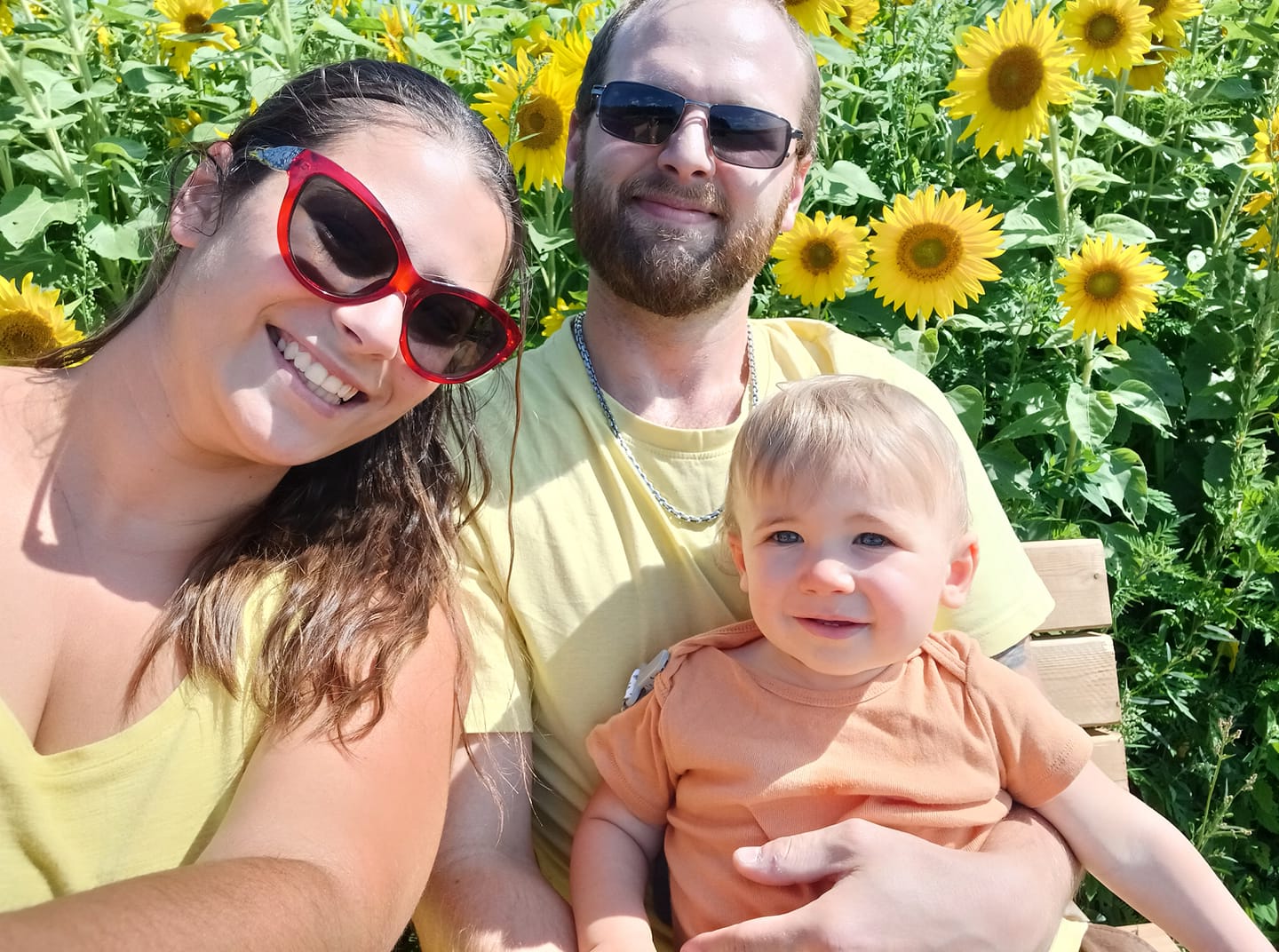 Soak Up The Sunflowers 13 — Soak Up The Sunflowers 2023