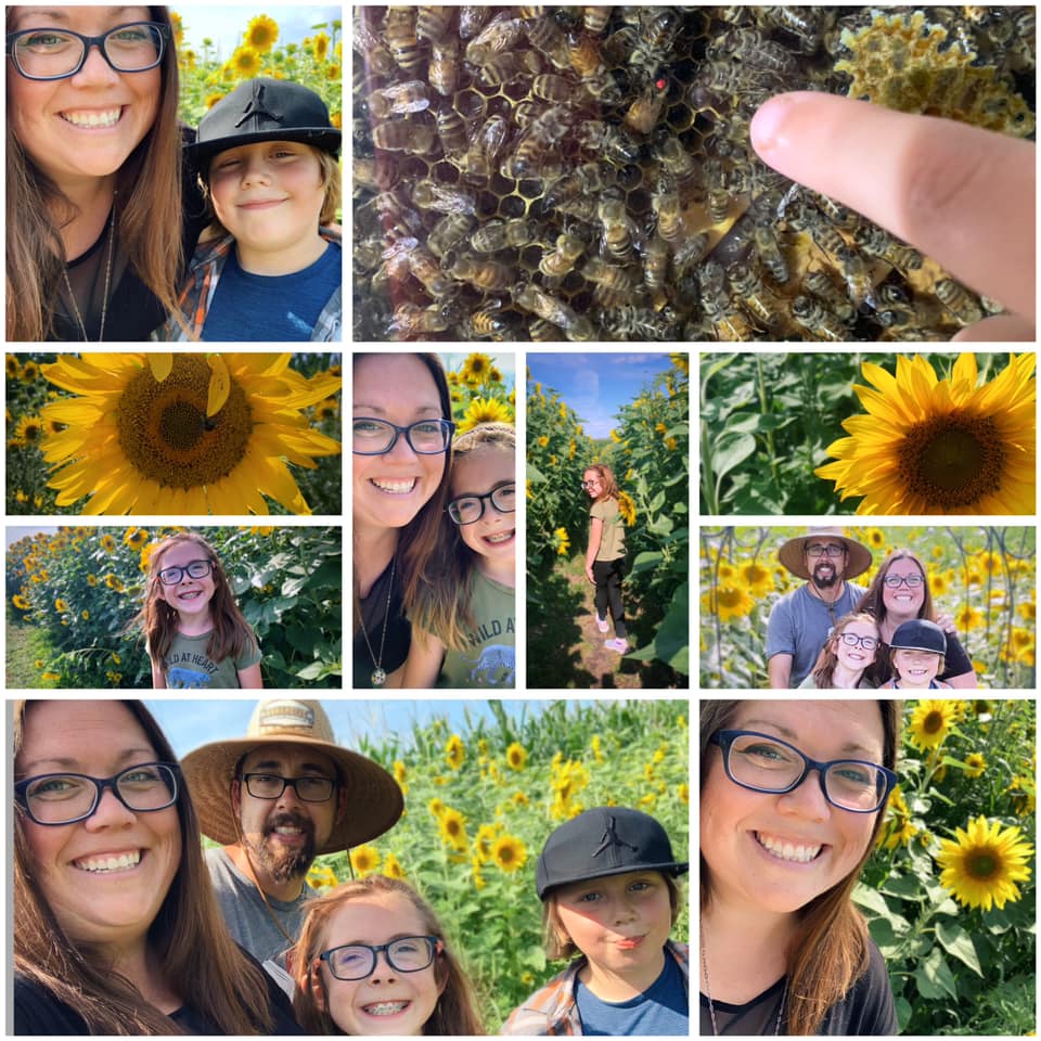 Soak Up The Sunflowers 15 — Soak Up The Sunflowers 2023
