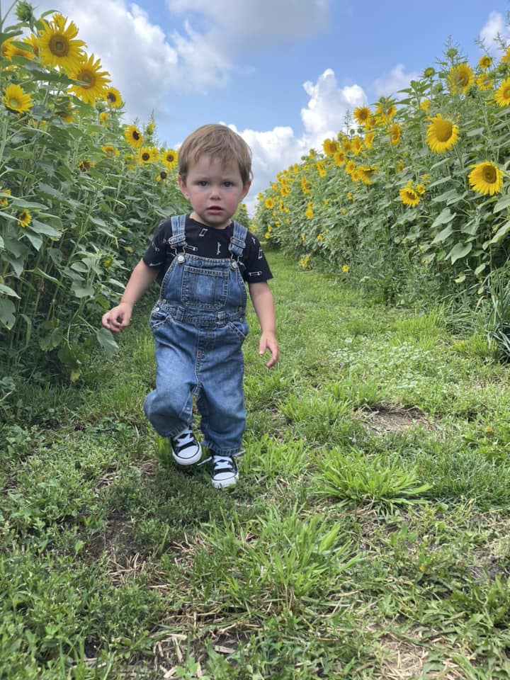 Soak Up The Sunflowers 20 — Soak Up The Sunflowers 2023
