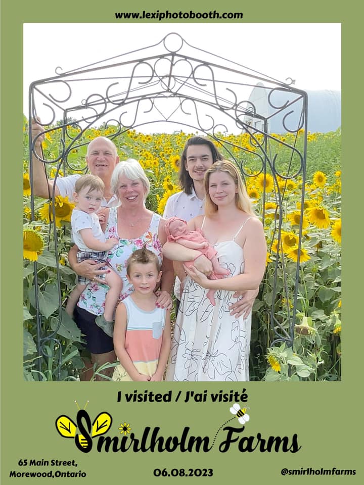 Soak Up The Sunflowers 24 — Soak Up The Sunflowers 2023